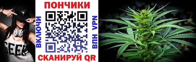 Бошки Шишки Amnesia  Палласовка 